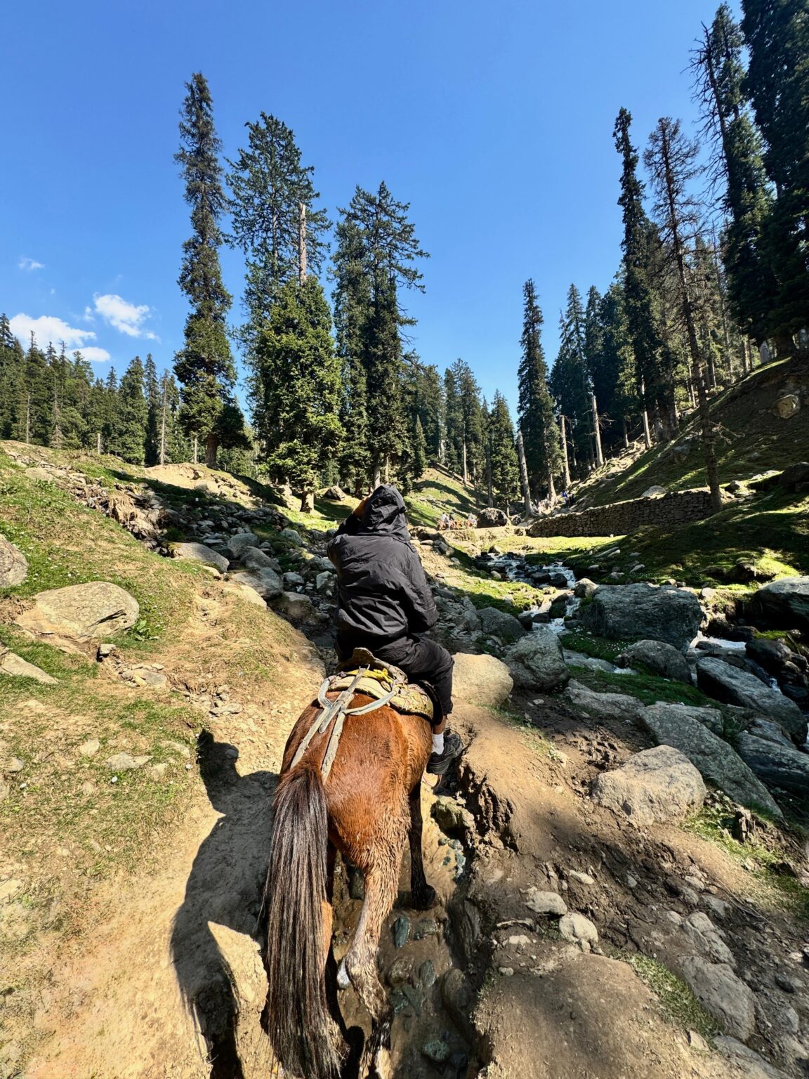 Horseride Photography by Rabah | Best freelance digital marketer in Malayasia